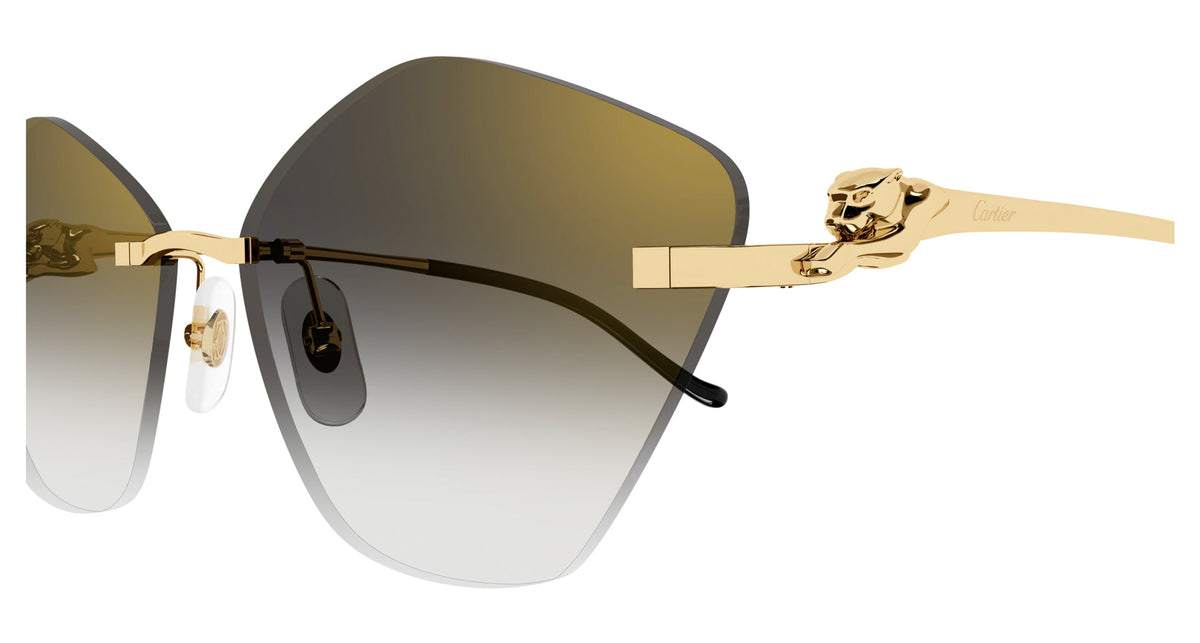 Cartier CT0429S