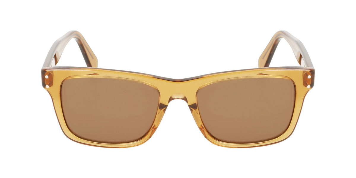 Ferragamo SF1039S