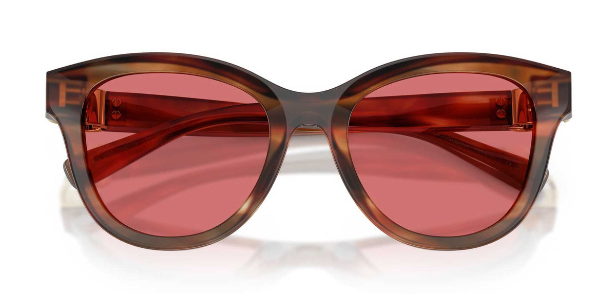 Dolce&Gabbana DG4533