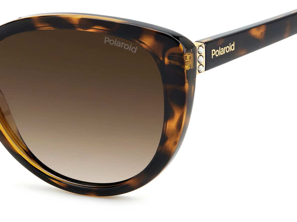 Polaroid PLD 4176/S/X