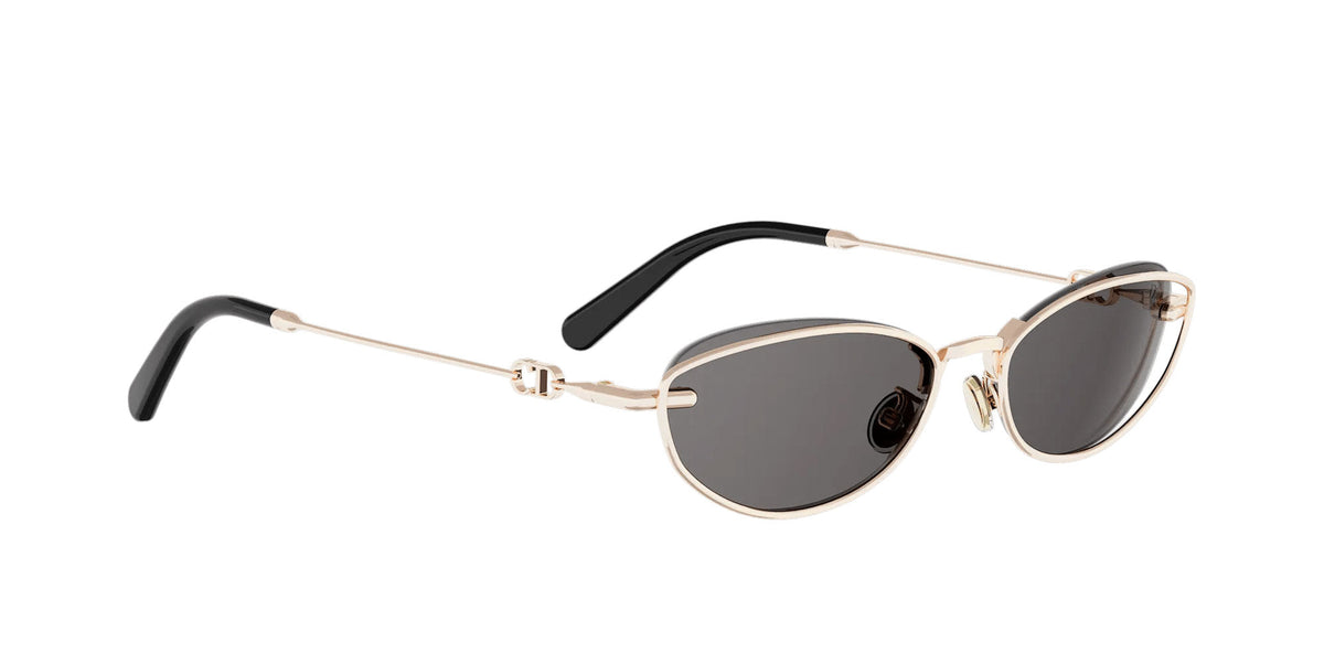 Dior Petit CD B1U
