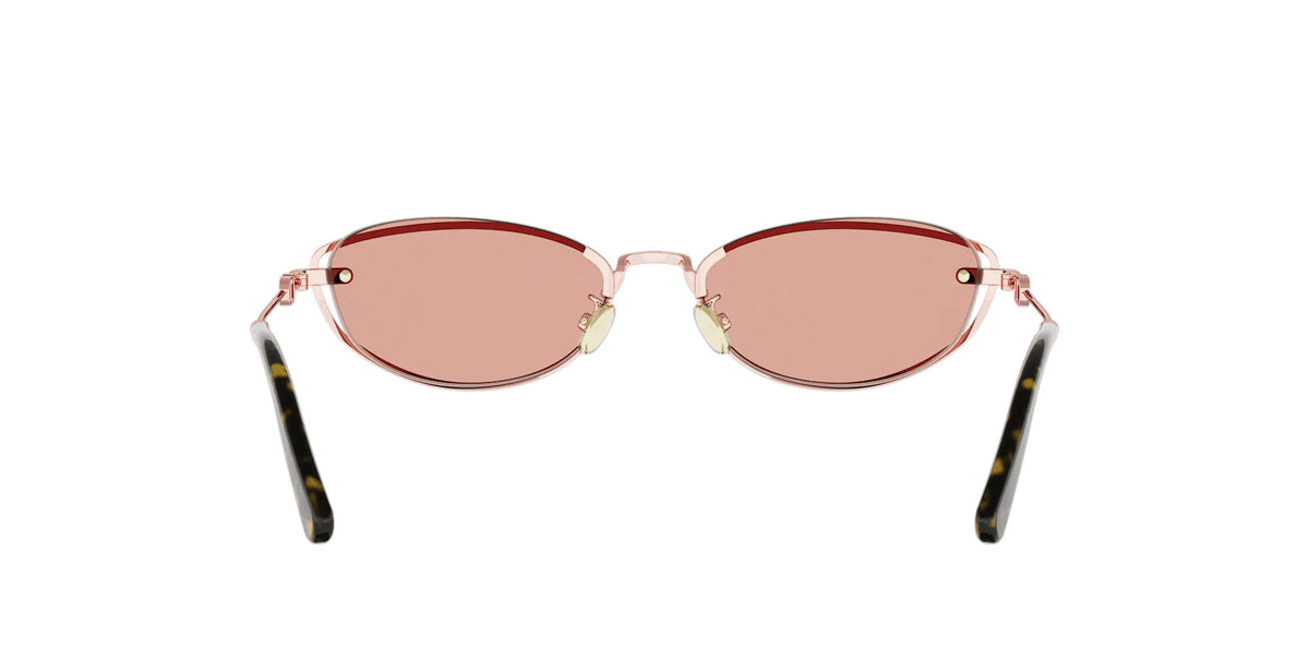 Dior Petit CD B1U