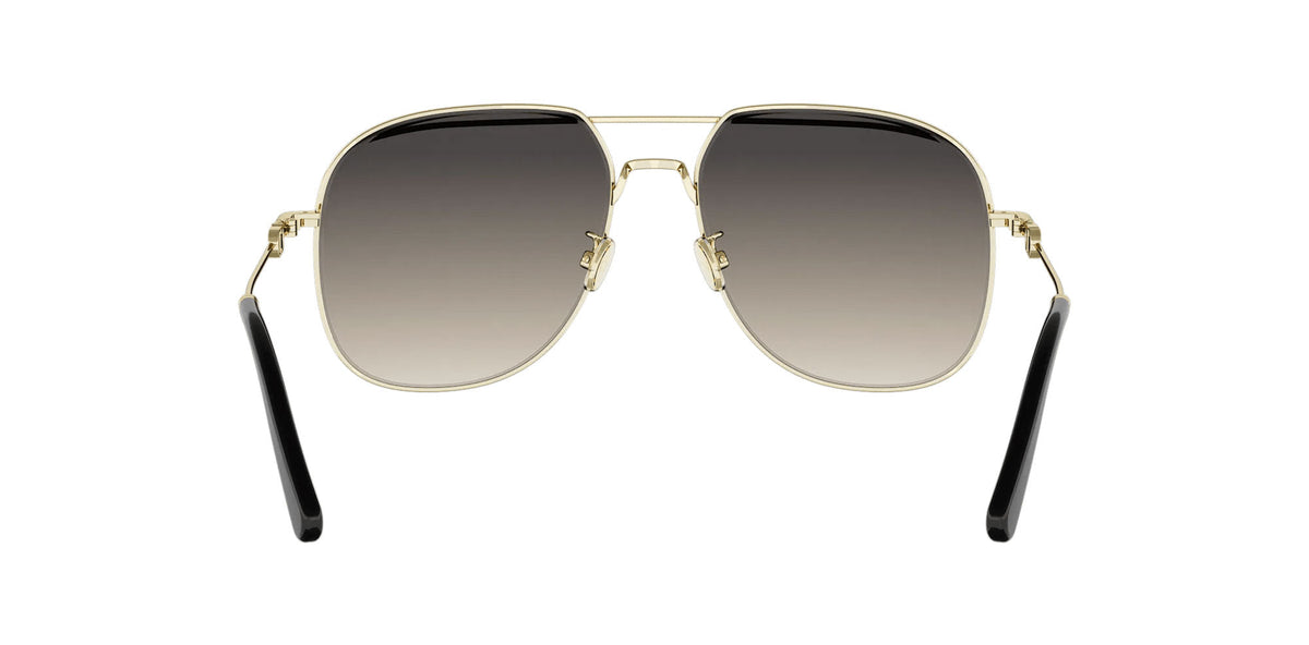 Dior Petit CD A1U