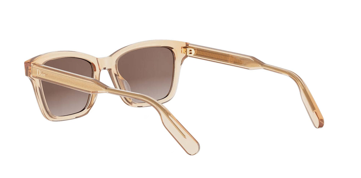 Dior DioRibbon S2I
