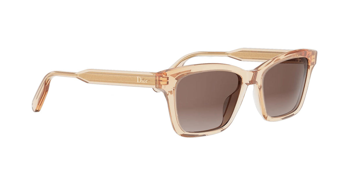 Dior DioRibbon S2I