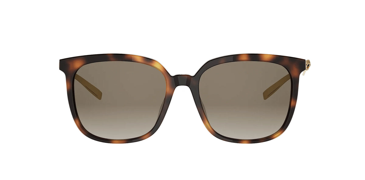 Dior Bow S1I