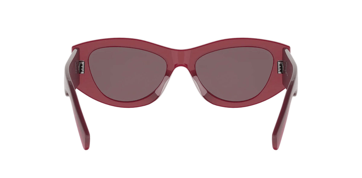 CELINE Triomphe CL40308U