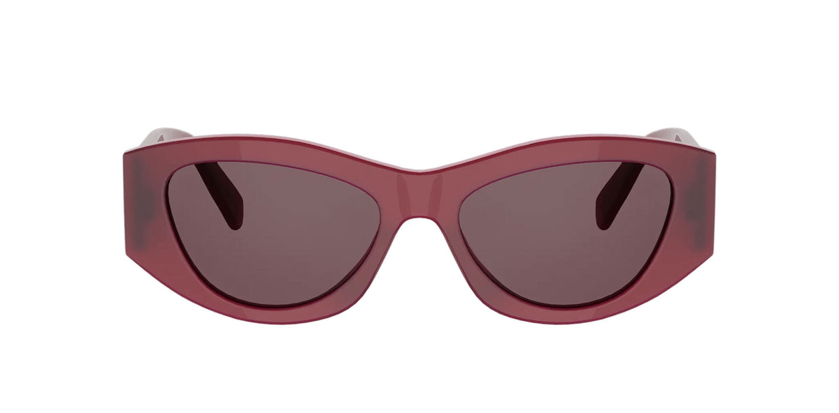 CELINE Triomphe CL40308U