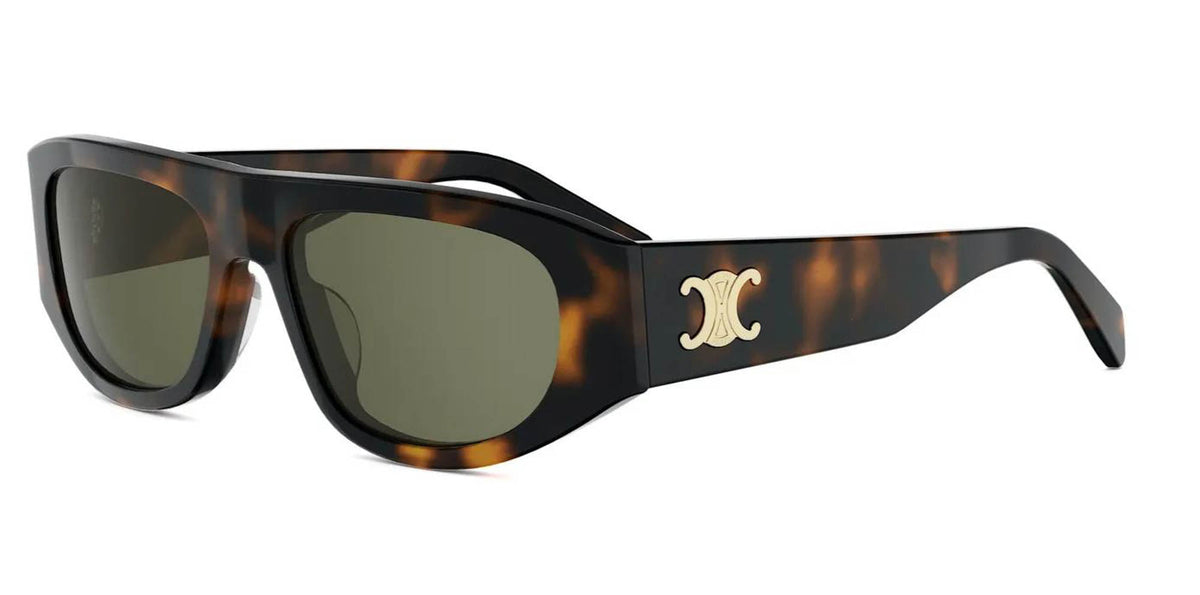 CELINE Triomphe CL40334U