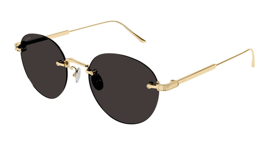 Cartier CT0393S
