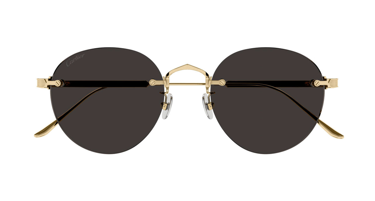 Cartier CT0393S