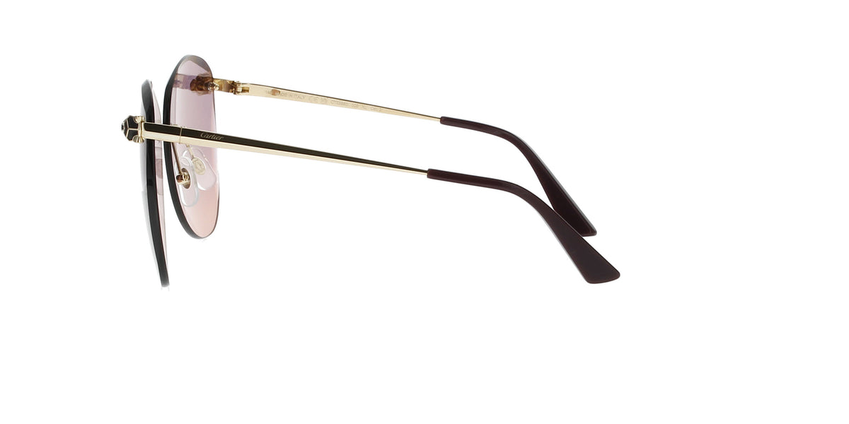 Cartier CT0398S