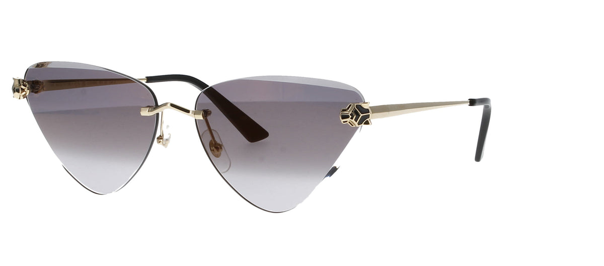 Cartier CT0399S