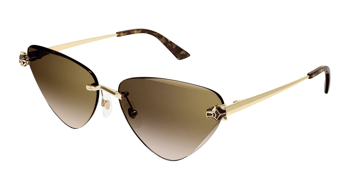 Cartier CT0399S