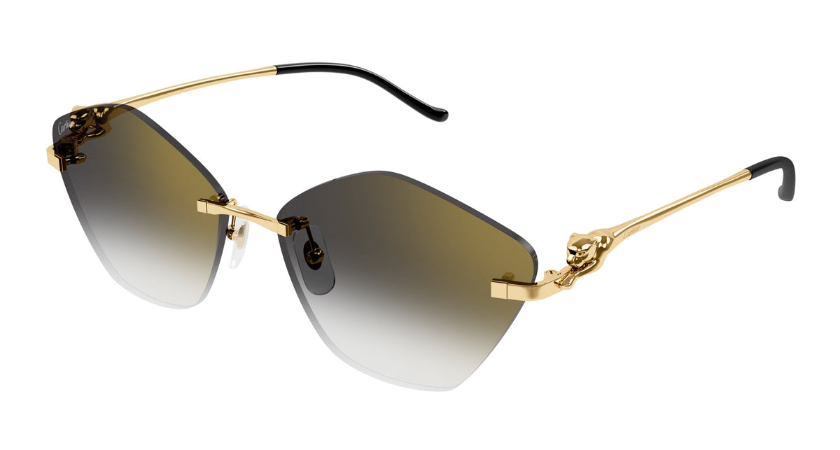 Cartier CT0429S