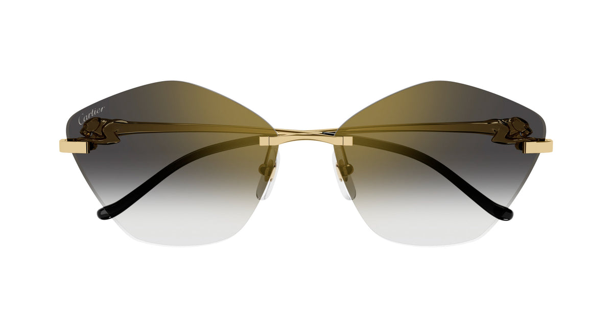 Cartier CT0429S