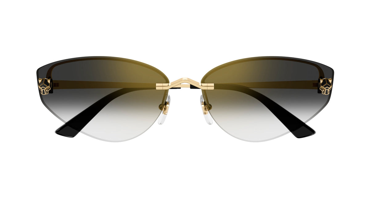 Cartier CT0431S