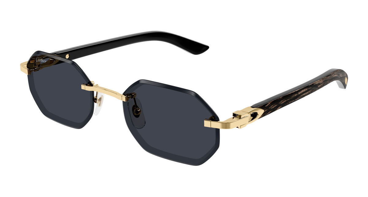Cartier CT0439S