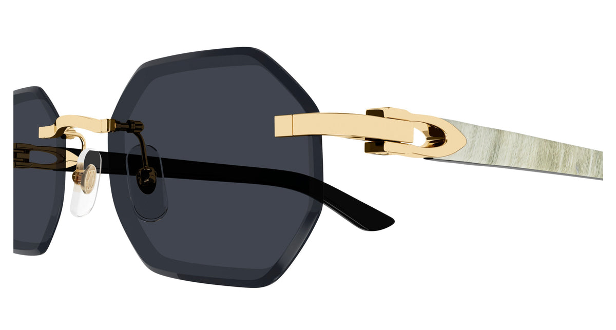 Cartier CT0439S