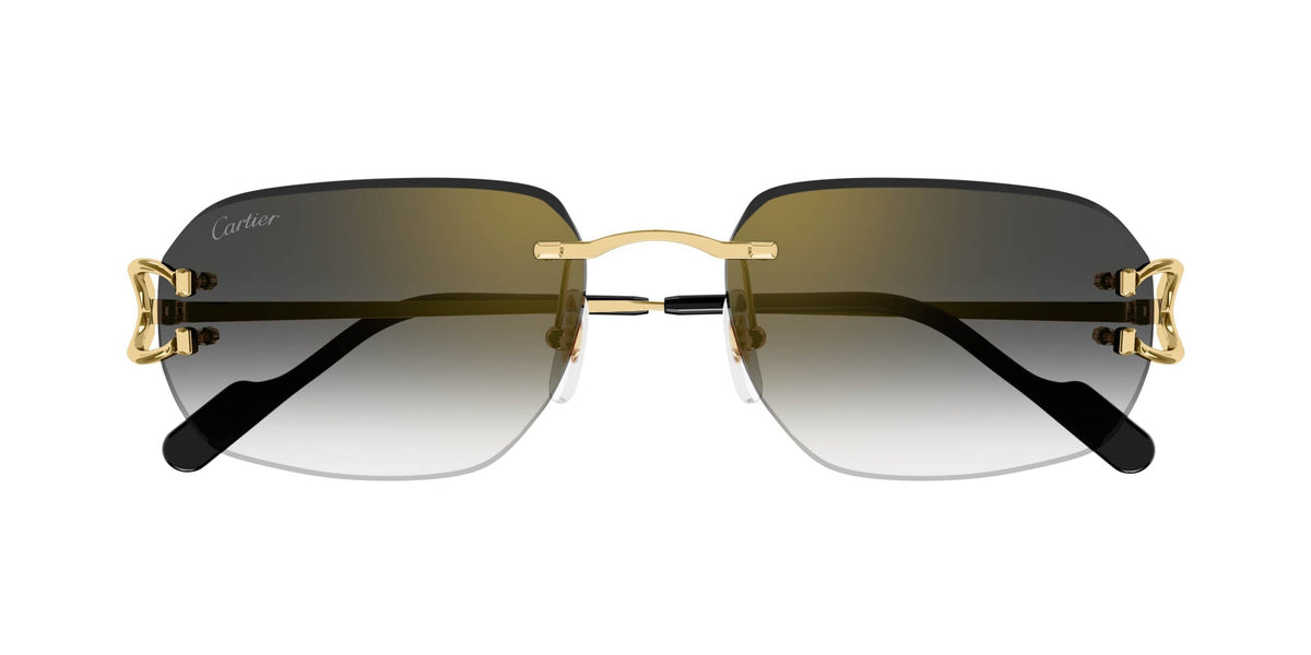 Cartier CT0468S