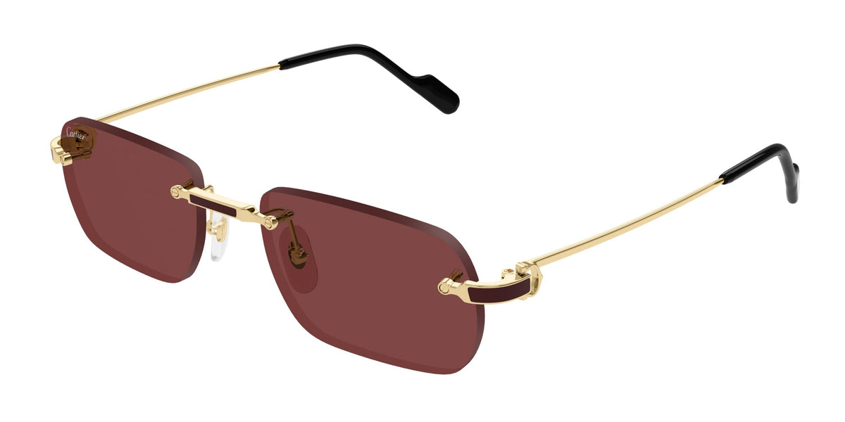Cartier CT0498S
