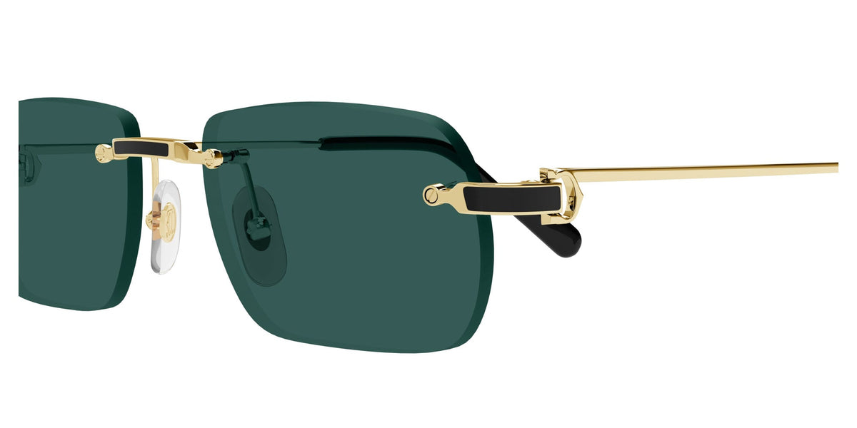 Cartier CT0498S