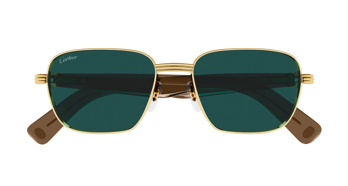 Cartier CT0538S