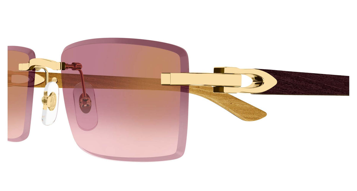 Cartier CT0582S
