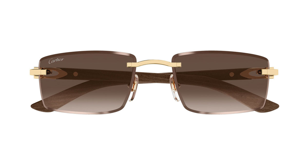 Cartier CT0582S