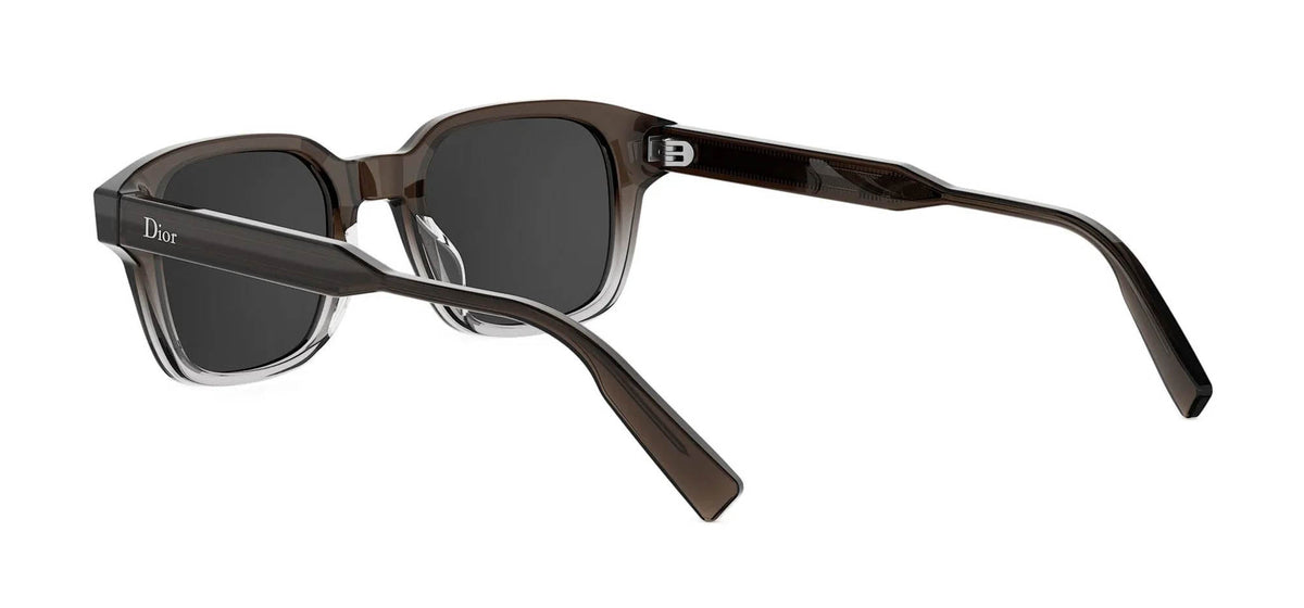 Dior DioRibbon S1I