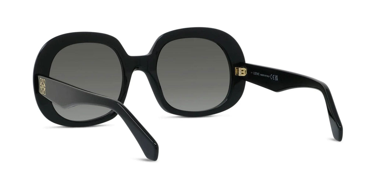 Loewe Anagram LW40206I