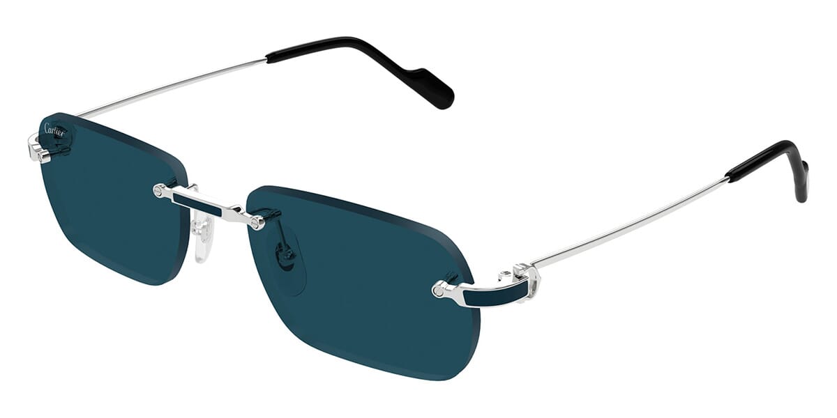 Cartier CT0498S