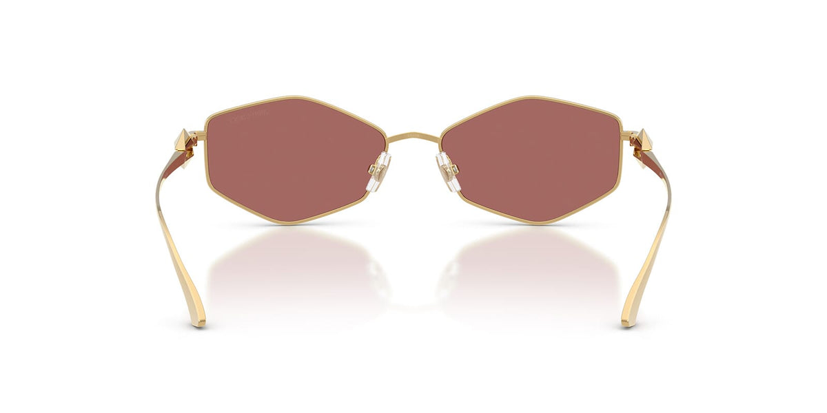 Jimmy Choo JC4017