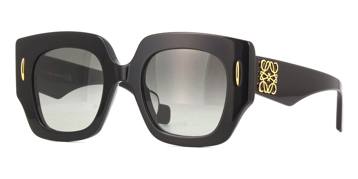 Loewe Anagram LW40129U