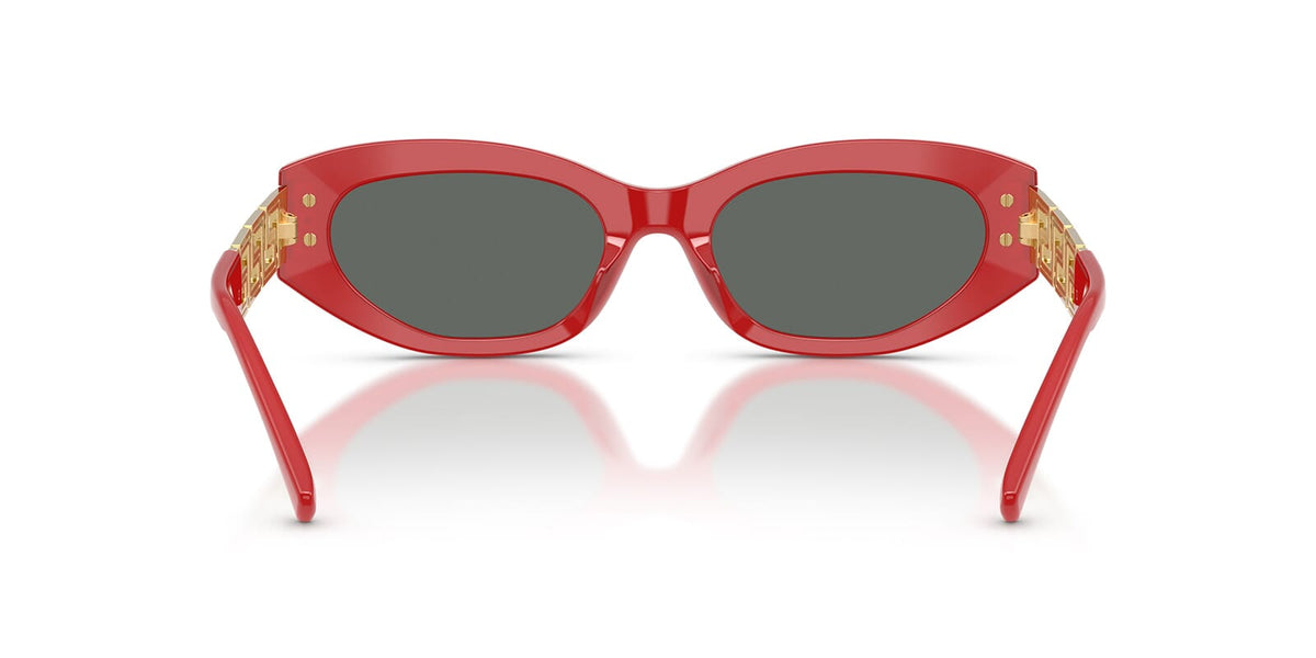 Versace VE4501
